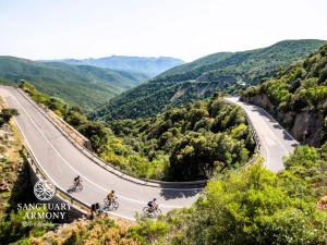 Sanctuary Armony img13