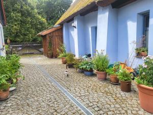 gemütliche Ferienwohnung Atelierhaus Rankwitz