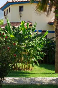 Green Anatolia Club&Hotel -Inclusive