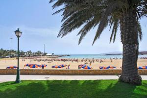 Canary Islands Escape