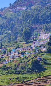 The Family Nest, Kodaikanal