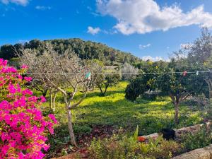 Villa Es Puig, piscina y vistas a la montaña