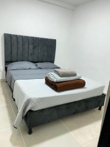 Pipes House- Cóndor Andino