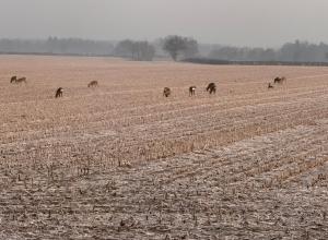 Chambre d hôtes dans un domaine au calme proche du Pal