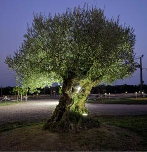 Chambre d hôtes dans un domaine au calme proche du Pal