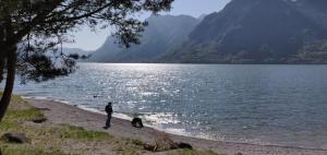 Casa nella pineta, a due passi dal lago
