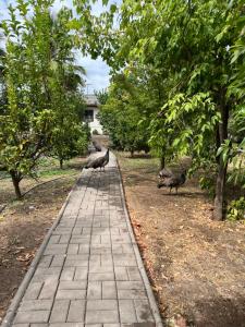 Alojamiento Los Nogales