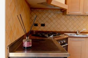 Rosa delle Alpi Apartment