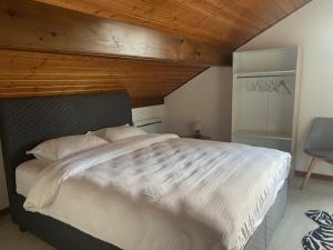 Maison proche du centre de Gerardmer