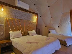 Wadi rum Moon camp