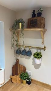 The Barn at Rigg Farm