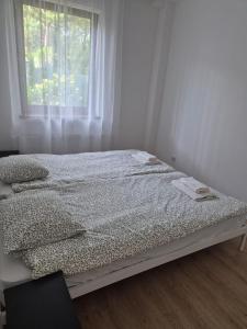 Apartament przy plaży Rogowo