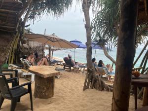 The Coast Haven