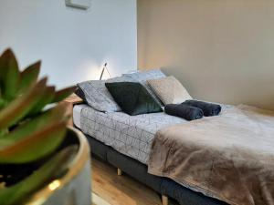 Les Apparts de Marmande - Petit Cocon en ville