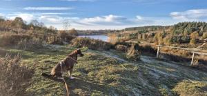Chalet Bos en Pootjes