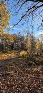 Chalet Bos en Pootjes