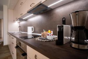 Blue Sky Penthouse with Parking Spot and Panorama Views