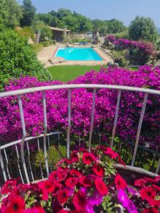 Villa Paradiso con Piscina - Santa Teresa Gallura