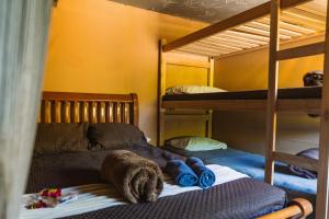 Green House Chalé, hostel e pousada