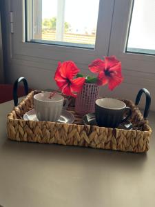 MARIA S LITTLE HOUSE