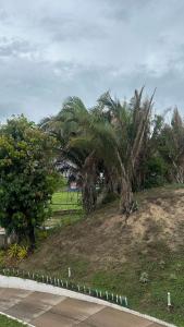 Beach Garden Ap lagoa Serena