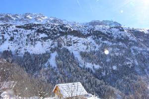 Appart'hotels Residence les Valmonts Vaujany : photos des chambres