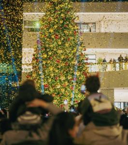 A Homz 2BR Apartment in nasr city-one Kattameya