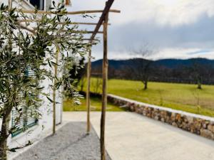 Butterfly House Karst