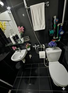 Hoa Anh Đào 701TM27