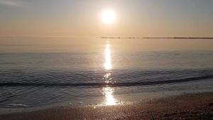 Amelia & Nicole Close to the Beach
