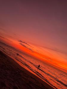 New apartment on the 18th floor in Santa Marta with ocean views