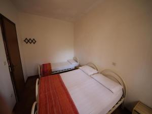 Rosolina Mare Apartment Near Sea