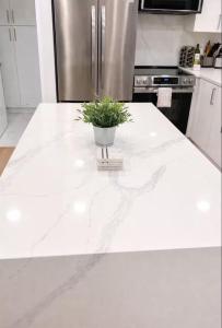 Bright Modern 2BR Walk Everywhere on Capitol Hill