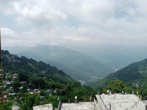 ViDi Hotel Serene Point ! Kalimpong