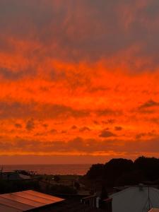 Treetop Ocean Views at Maslin Beach Coastal Escape