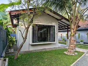 Coconut Shadow - Midigama
