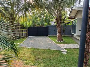 Coconut Shadow - Midigama