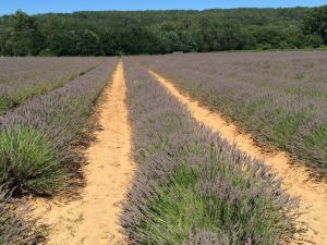 Maisons de vacances Flaugies : photos des chambres