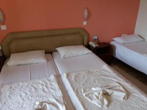 Zorbas Hotel Ilia Greece