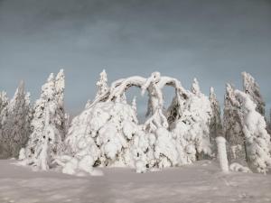 Rentola Lapland a peaceful and cozy cottage