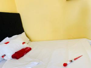 MIROG guest rooms