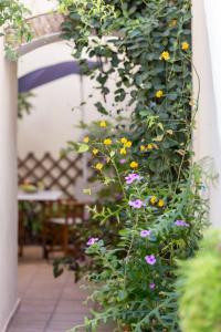 Guesthouse Niriides Spetses Greece