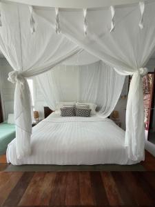 Cookies Salad Resort