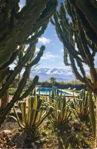 Jnan Lotf Marrakech - Le Jardin de la Bienveillance