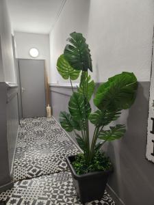 Appartement au rez-de-chaussée Nichée en plein centre dArras
