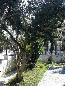 Mary Apartments Pieria Greece