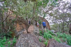 Sable Ranch Selfsorg