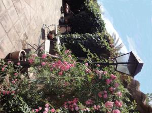 B&B / Chambres d'hotes L'Amandari - Chambres d'hotes : photos des chambres