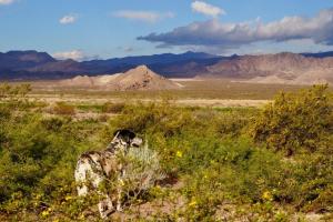 Casa Munay para dos personas