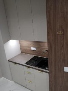 Targowa Premium Loft Warsaw National Stadium